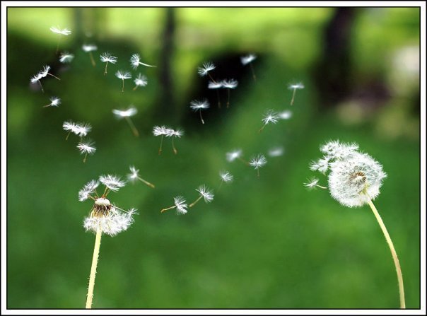 5 уроков, которые можно выучить у природы