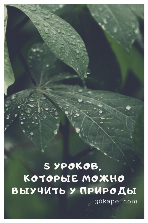 5 уроков, которые можно выучить у природы