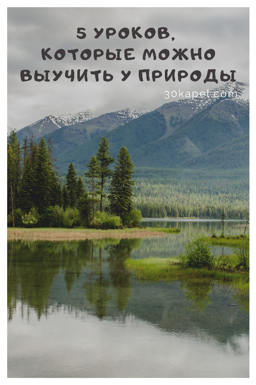 5 уроков, которые можно выучить у природы