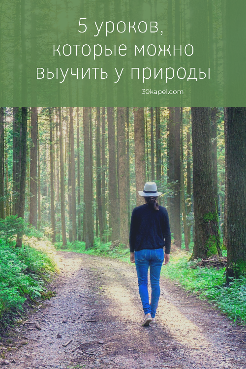 5 уроков, которые можно выучить у природы