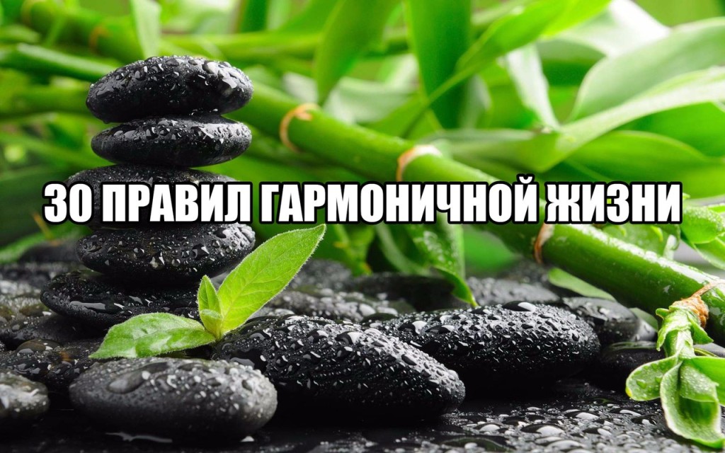 30 правил гармоничной жизни