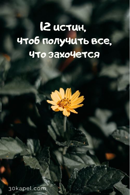 12 истин, чтоб получить все, что захочется