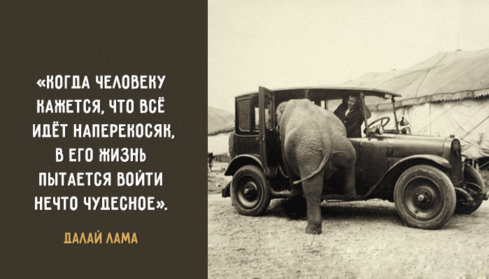 20 уроков жизни Далай-Ламы