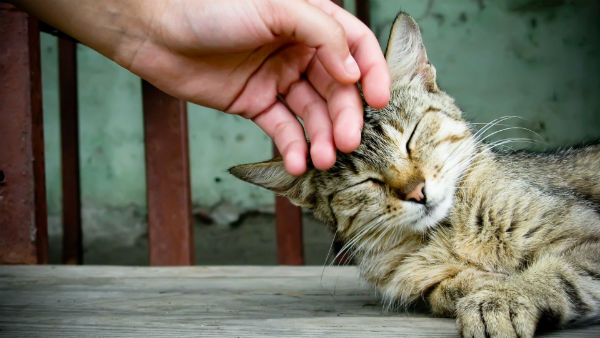25 приятных вещей, которые любит делать каждый