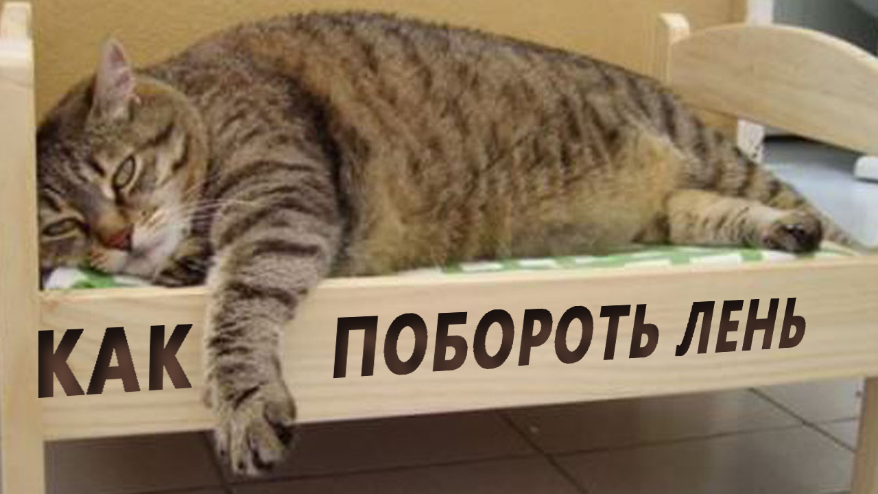 Лени не существует, не гнобите себя