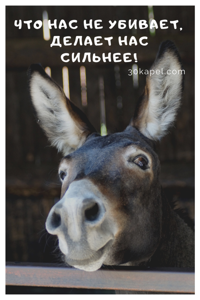Что нас не убивает, делает нас сильнее!