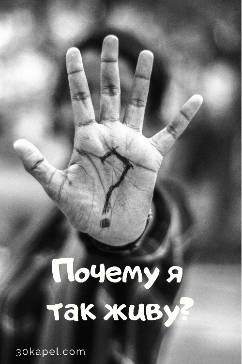 Почему я так живу