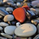 Не выбрасывай шанс…