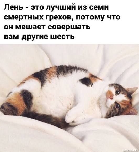 Про лень