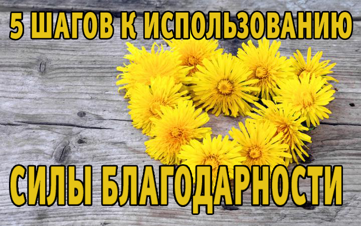 5 шагов к использованию Силы Благодарности
