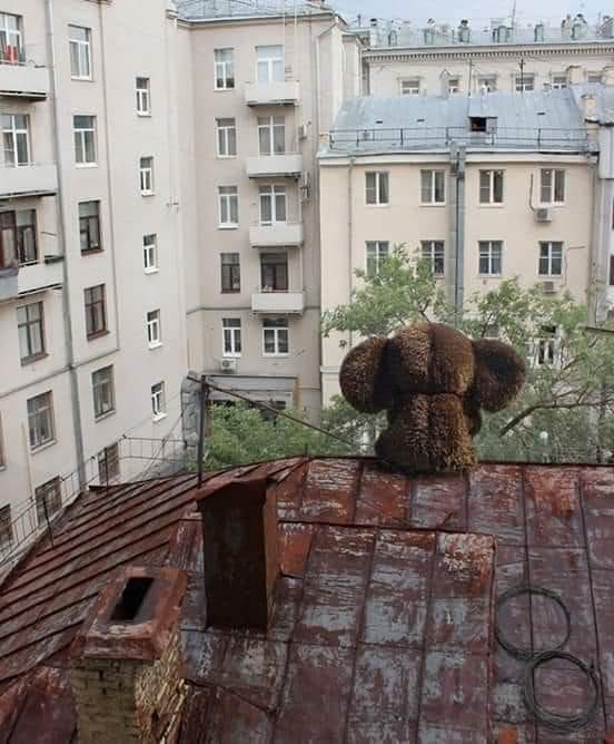 Главное — это найти своих и успокоиться