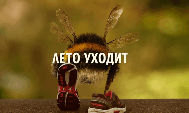 10 дней до осени