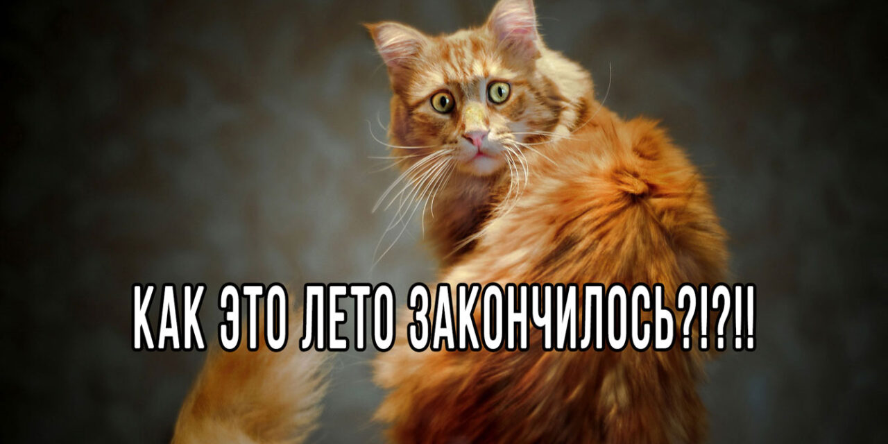 Последний день лета