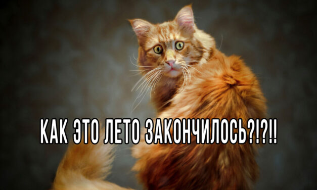 Последний день лета