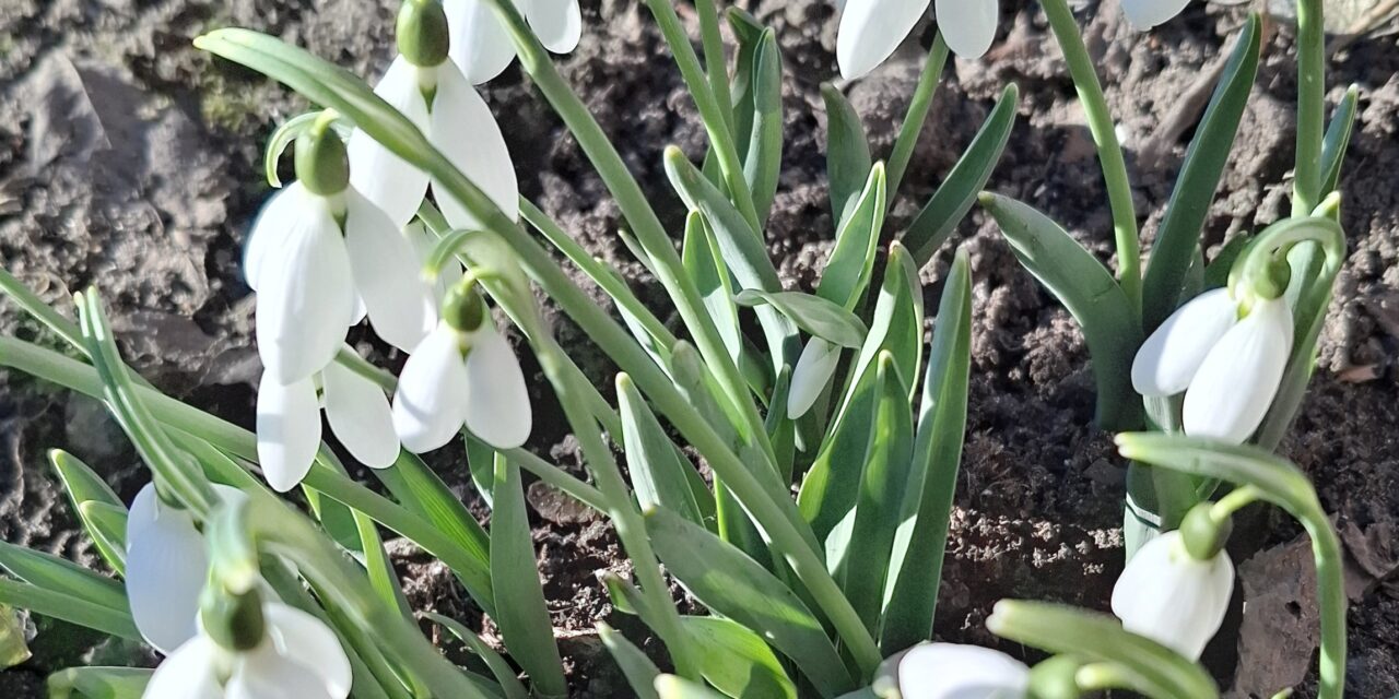 Три окурка к 8 марта