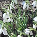 Три окурка к 8 марта