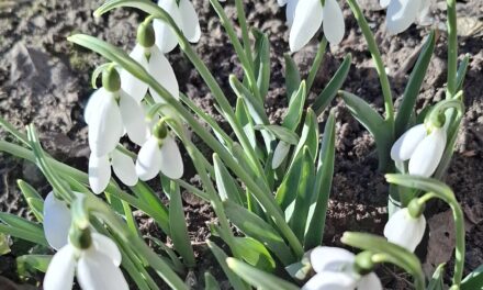 Три окурка к 8 марта