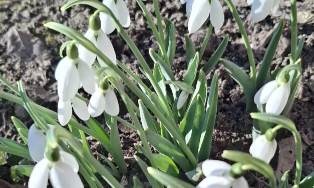 Три окурка к 8 марта