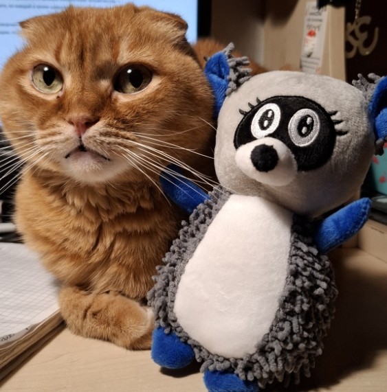 Енот Данетот и Бинго кот