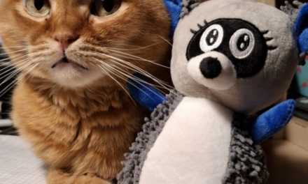 В доме Енот. Данетот