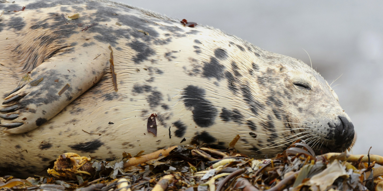 Окурок про украденный понедельник