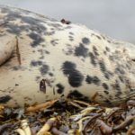 Окурок про украденный понедельник