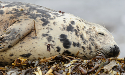 Окурок про украденный понедельник