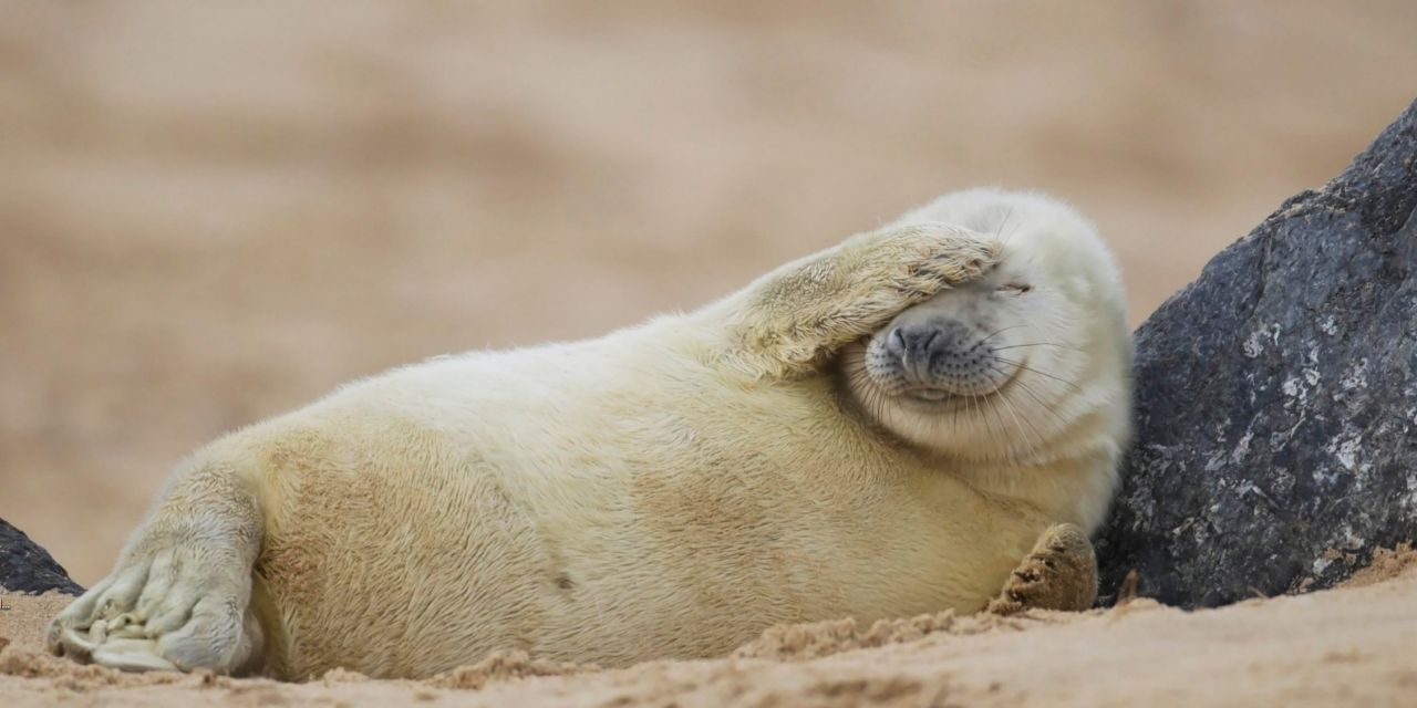 Фальстарт понедельника