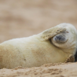Фальстарт понедельника