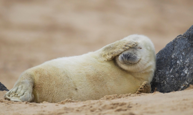 Фальстарт понедельника